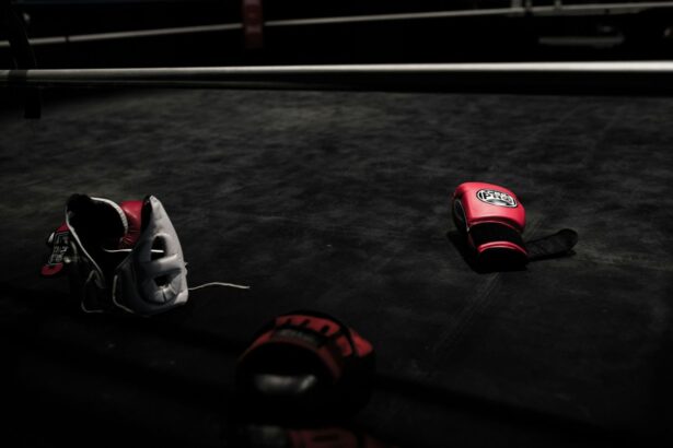 Tragédie sur le ring : deux boxeurs décèdent, soulevant des inquiétudes au Japon