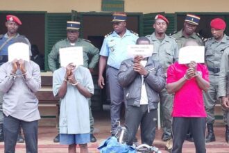 Kribi respire après la chute d’un gang redouté