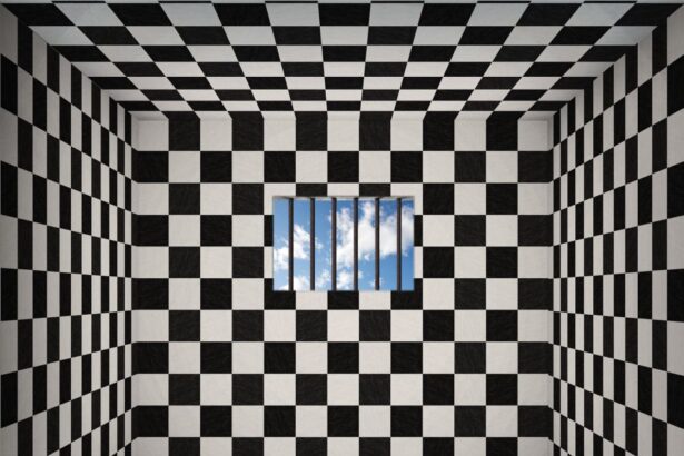 Le Brochet et le Mur Invisible