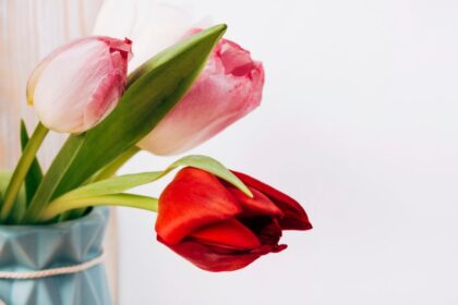 Comment faire durer votre bouquet de tulipes plus longtemps