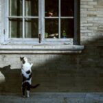 Pourquoi la curiosité change vraiment la façon dont vous apprenez